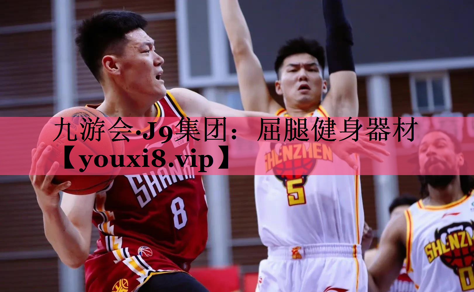 九游会·J9集团：屈腿健身器材